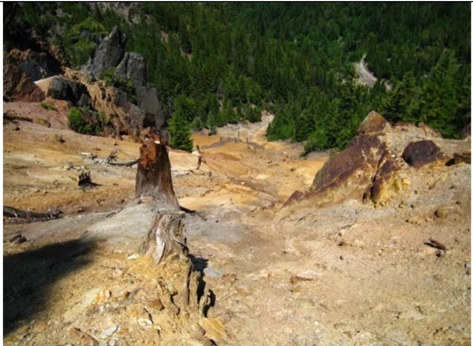 Main waste rock pile at The Blue Ledge Mine.
