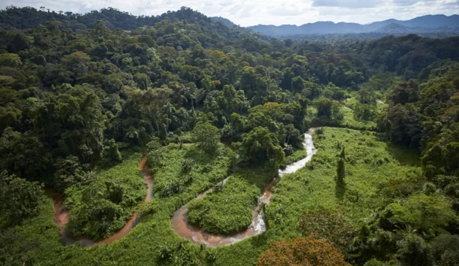 Reserva de la biosfera de río plátano